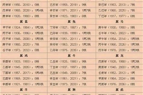 八字重量表2022|八字重量計算器